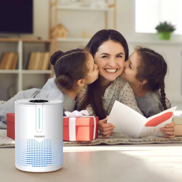 Air Purifiers For Bedroom Home 430 Sq.Ft, H13 HEPA Filter Small Portable Air Purifier With USB Cable Fragrance Sponge For Smokers Pollen Pets Dust Odors, Desktop Air Cleaner For Car RV